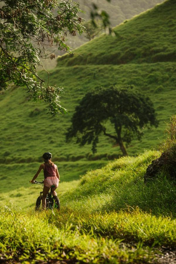 लॉज Ferney Nature Mahebourg